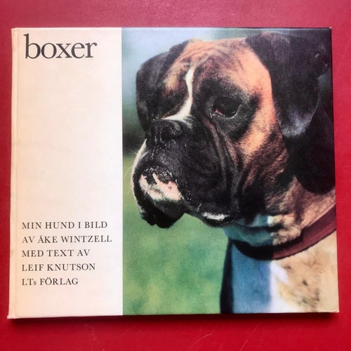 BOXER Min hund i bild Åke Wintzell 1966