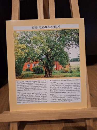 Bilder Från Nossebro - Förr Och Nu 26/2014