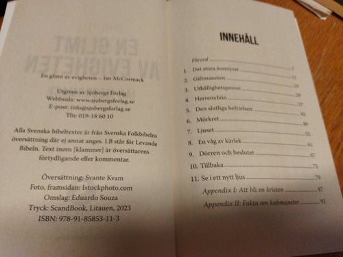 En glimt av evigheten av Ian McCormack, bok, very fine plus