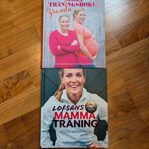 Stora Träningsboken för Gravida av Lovisa Sandström & Jessica Almenäs, 2017