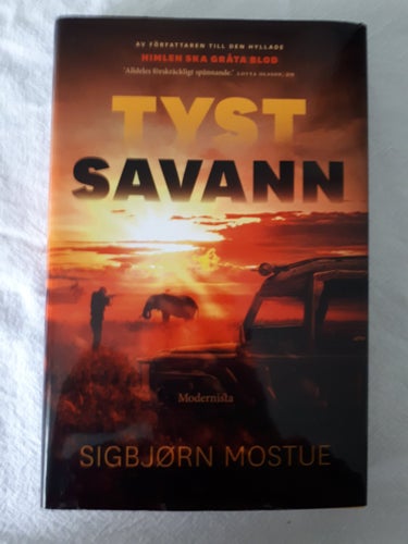 Sigbjørn Mostue Tyst savann (2022) OU Sigbjörn Mostue