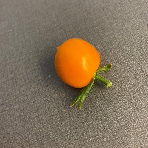 102 . Tomatfrön 8st - hög planta - Naranja - orange - körsbärstomater frö fröer