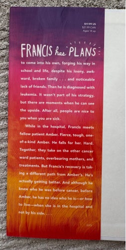 The Brilliant Light of Amber Sunrise - Matthew Crow - hardcover