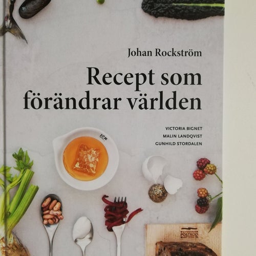 RECEPT SOM FÖRÄNDRAR VÄRLDEN, JOHAN ROCKSTRÖM 2019