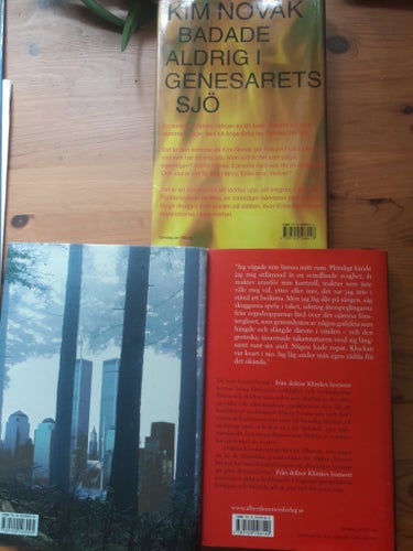 3 böcker av Håkan Nesser, Kim Novak badade aldrig i Genesarets sjö m.fl
