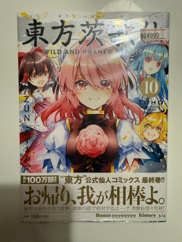 Tohou Project Manga WILD AND HORNED HERMIT Vol. 10