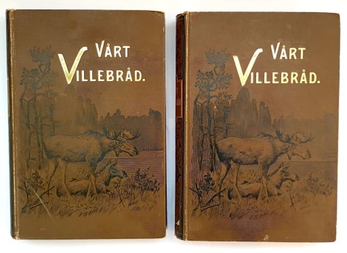 Vårt Villebråd av Gustaf Kolthoff, 1896