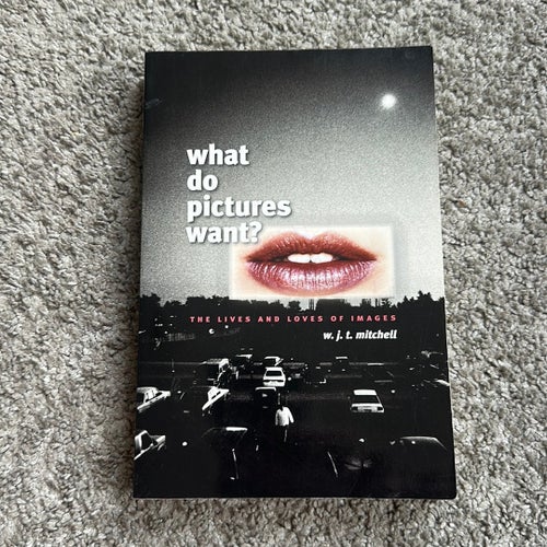 What Do Pictures Want? av W. J. T. Mitchell