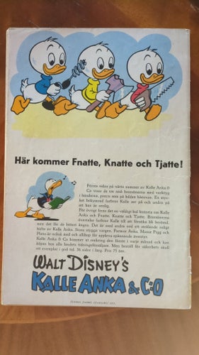 Walt Disney's Musse Pigg Besöker Torsdag, 1955
