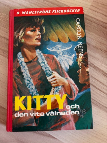Kitty och den vita vålnaden av Carolyn Keene