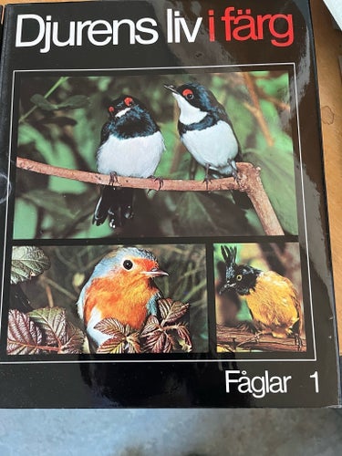 Djurens liv i färg: Fåglar 1 & 2
