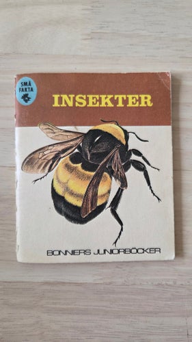 INSEKTER - Små fakta