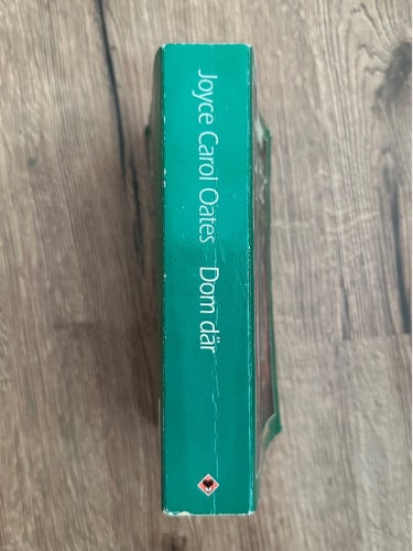 Dom där av Joyce Carol Oates, 1994