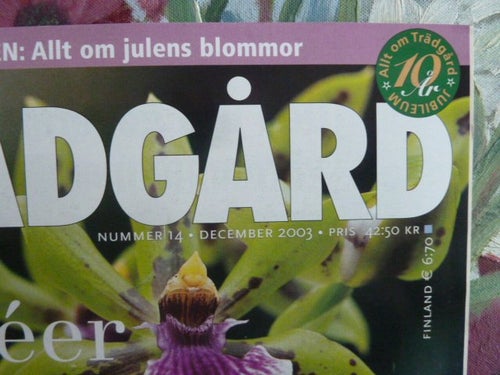 TRÄDGÅRD, NR 14, 2003,