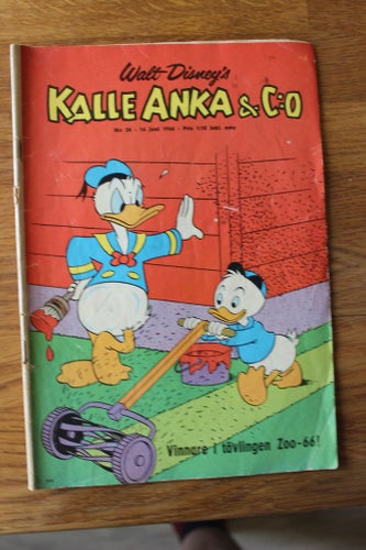 KALLE ANKA 1966 NR 24