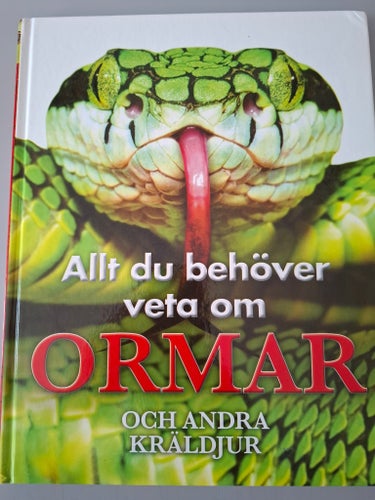 Allt du behöver veta om ormar och andra kräldjur