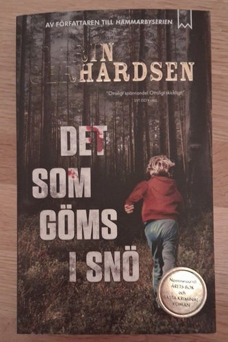 Det som göms i snö av Carin Gerhardsen 2019