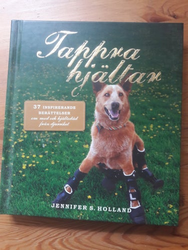 Tappra hjältar av Jennifer S. Holland, 2014