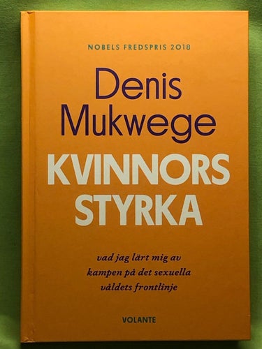 Kvinnors styrka vad jag lärt mig av kampen på det sexuella våldets frontlinje /