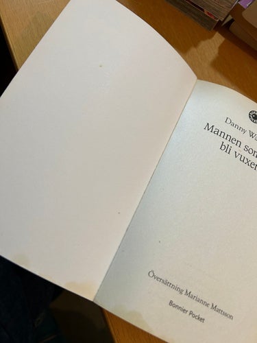 Mannen som ville bli vuxen av Danny Wallace, bok