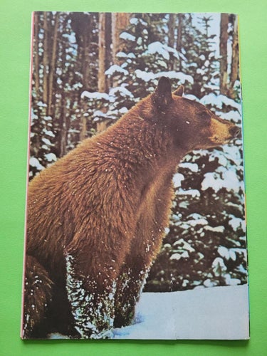 Silverpilen nr 2 från 1978