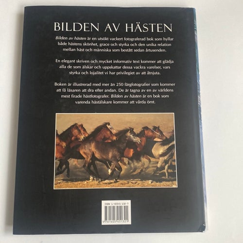 Bilden av Hästen