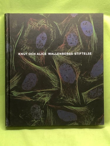 Knut och Alice Wallenbergs stiftelse 100 år av stöd till excellent svensk forskn