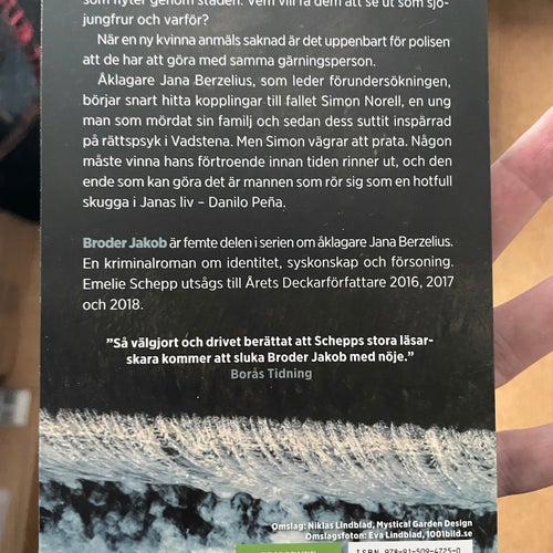 Broder Jakob - av Emelie Schepp, spänningsroman
