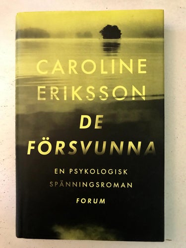 DE FÖRSVUNNA Caroline Eriksson 2015
