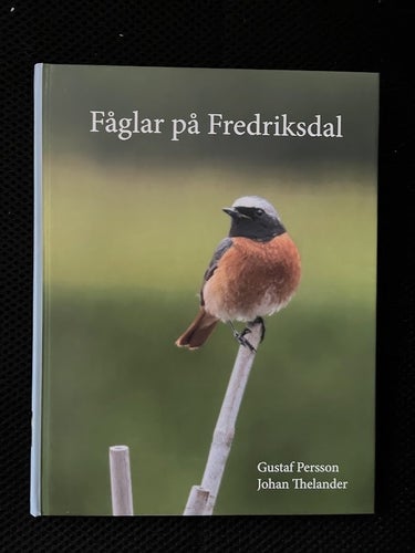 Fåglar på Fredriksdal. / Gustaf Persson & Johan Thelander