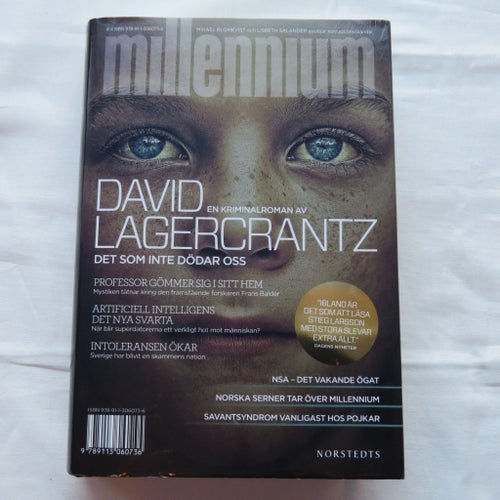 Det som inte dödar oss - David Lagercrantz
