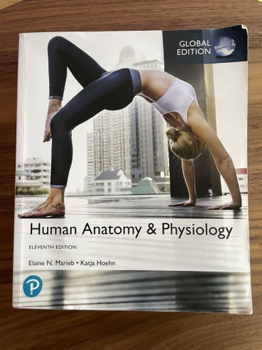 Human Anatomy & Physiology 11th edition