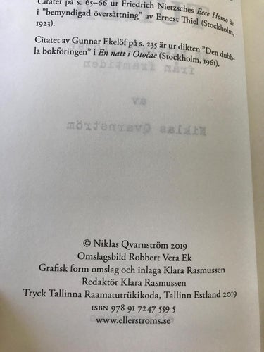 TURBA En nittiotalsroman från framtiden Niklas Qvarnström 2019