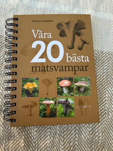 Våra 20 bästa matsvampar av Michael Krikorev, 2014