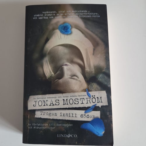 Trogen intill döden av Jonas Moström, 2017