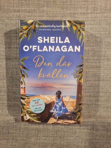 Den där kvällen av Sheila O'Flanagan, 2017