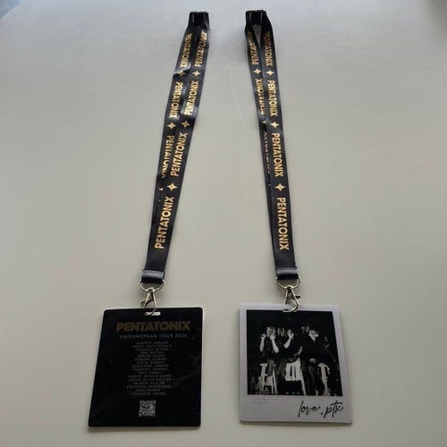 V.I.P. Band från Pentatonix första konsert i Sverige