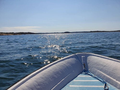 Örnvik 450