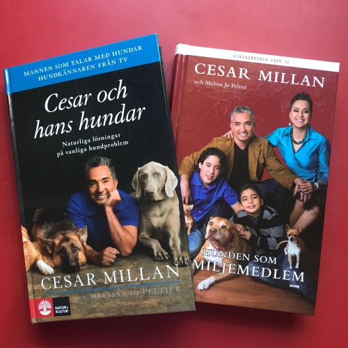 CESAR OCH HANS HUNDAR + LEDARSKAP MED CESAR Cesar Millan