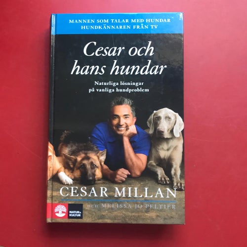 CESAR OCH HANS HUNDAR + LEDARSKAP MED CESAR Cesar Millan