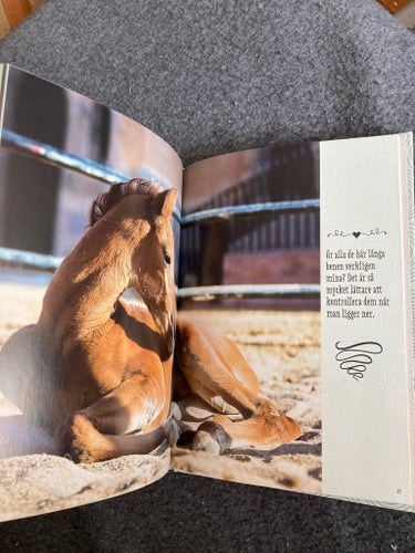 Ny! På vingliga ben av Sofia Wallin • lite fakta och fina bilder på söta föl