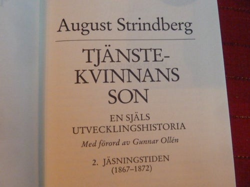 TJÄNSTEKVINNANS SON II., AUGUST STRINDBERG, 1980, BOK, BÖCKER