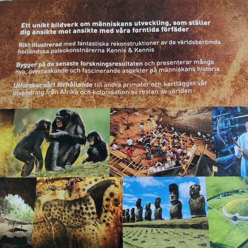 Evolution : människans historia av Alice Roberts (inb) stort format häftigt illu
