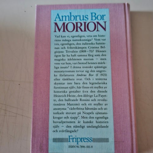 Morion : roman
