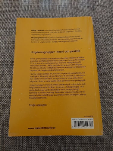 Ungdomsgrupper i teori och praktik