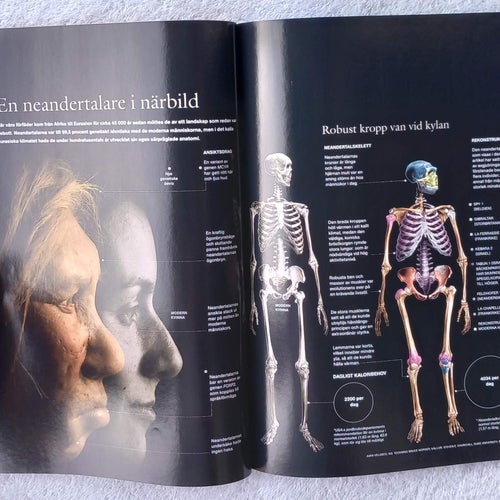 National geographic 12/2008 – neandertalare, rätvalar, biätare, Indiens superväg