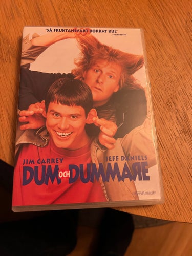 Dum och Dummare (DVD)