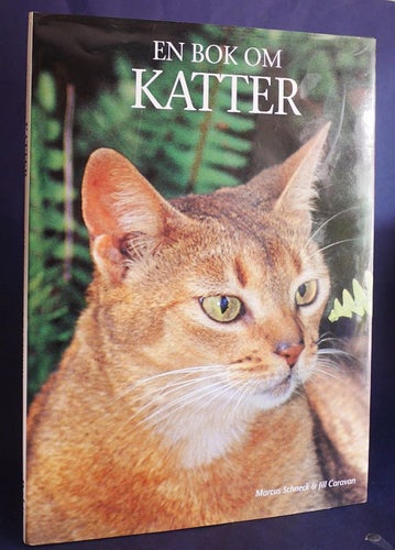 En bok om Katter . stort format, med fina färgfoton . Schneck / Caravan