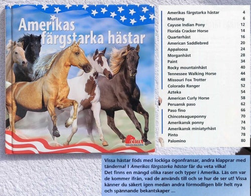 Amerikas färgstarka hästar