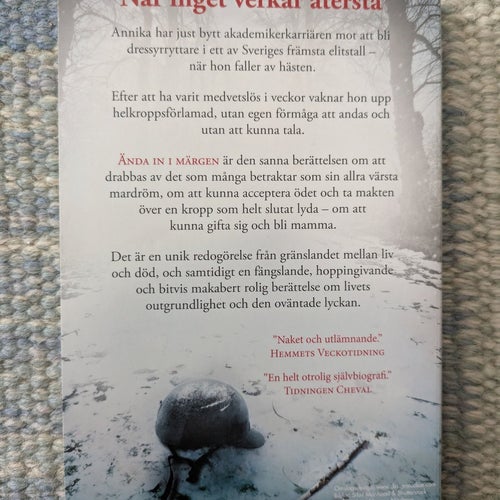 Ända in i märgen av Annika Taesler, 2015